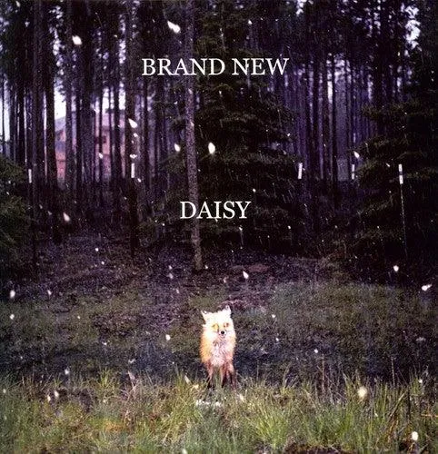 Brand New- Daisy